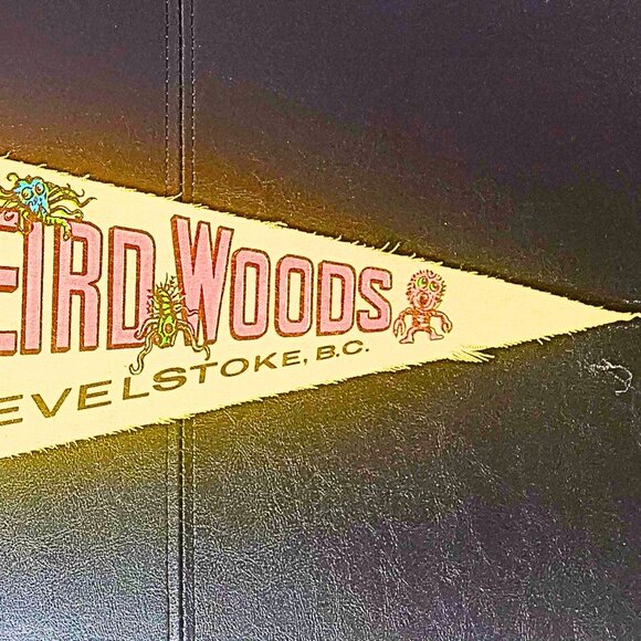 1970s Weird Woods Revelstoke BC Canada Felt Pennant – Vintage Souvenir - Picture 2 of 3